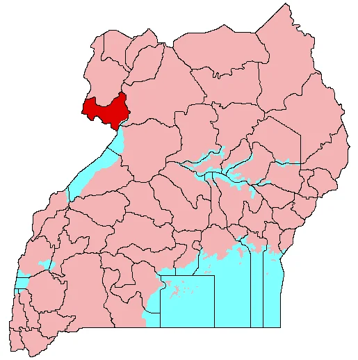 Photo of Nebbi