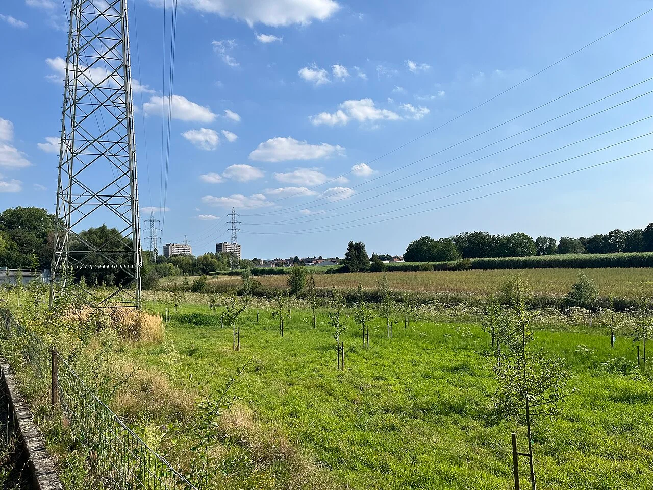 Photo of Negenmanneke