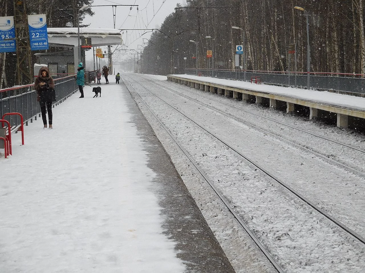 Photo of Nekrasovskaya