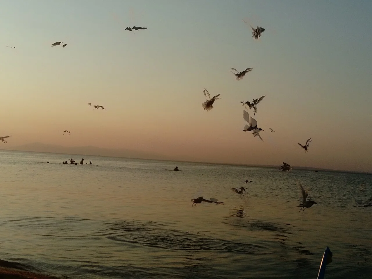 Photo of Néoi Epivátes