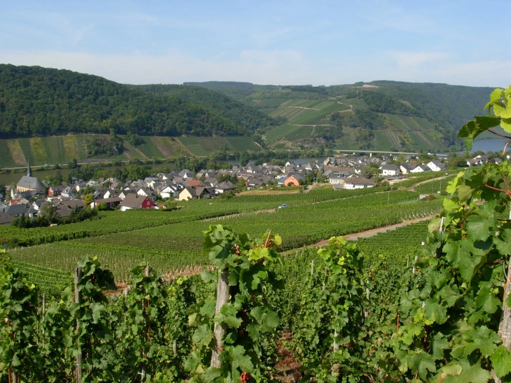 Photo of Neumagen-Dhron