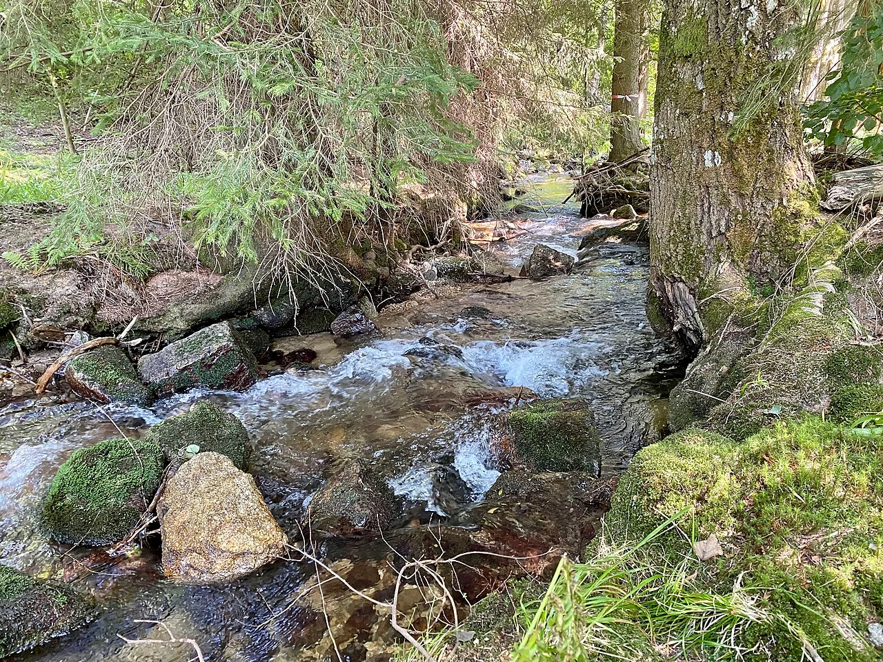 Photo of Neureichenau