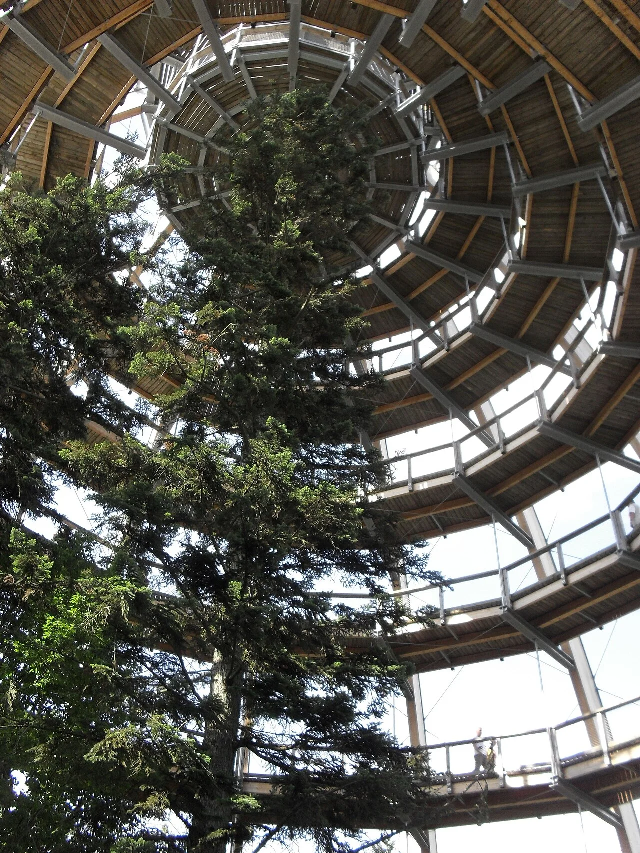 Photo of Neuschönau