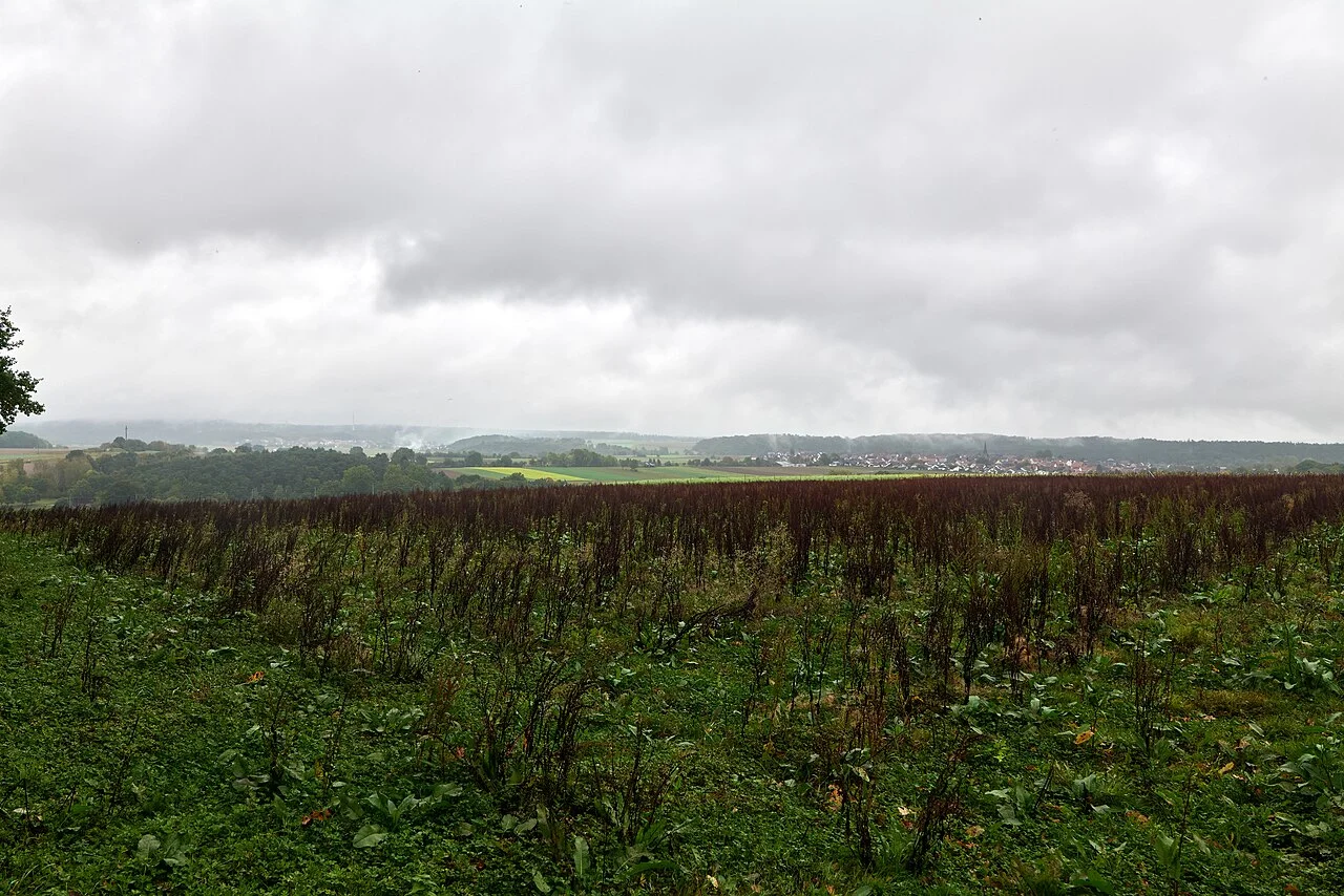 Photo of Neustadt (Hessen)
