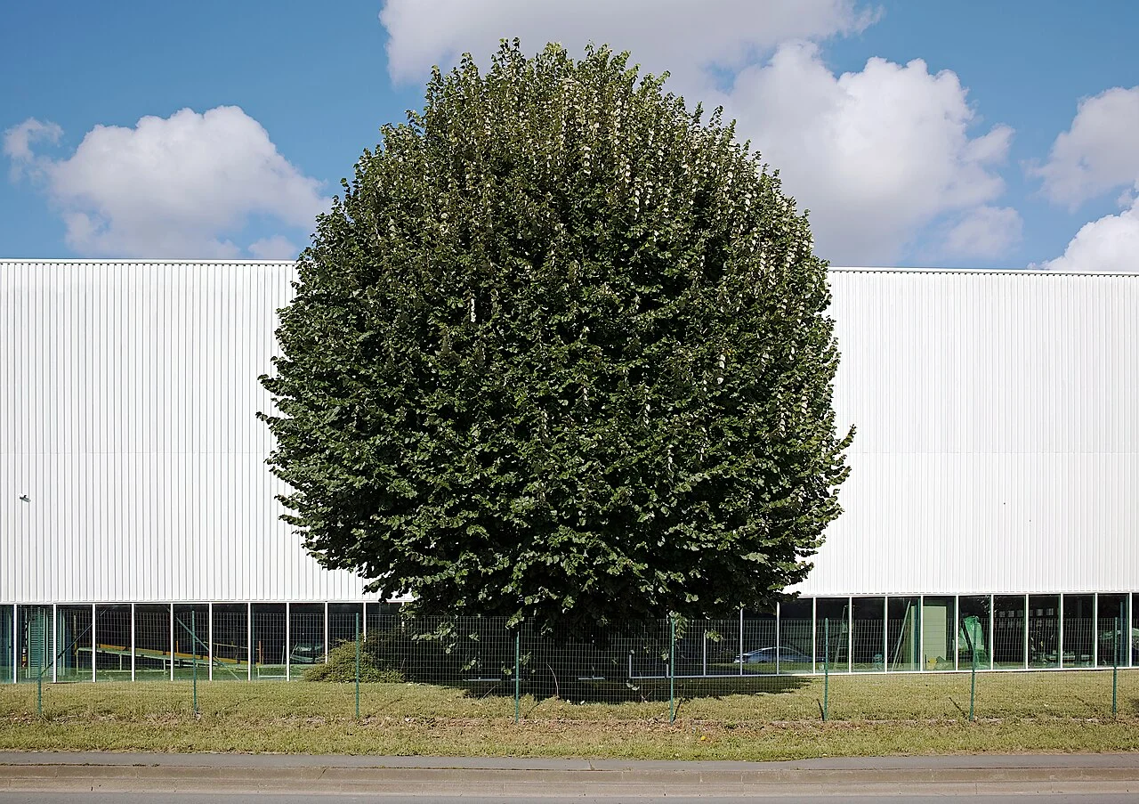 Photo of Neuville-en-Ferrain