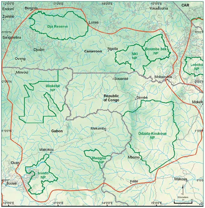 Photo of New Forest B