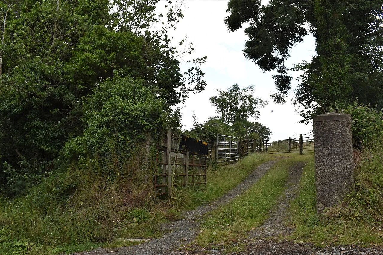 Photo of Newtownmountkennedy