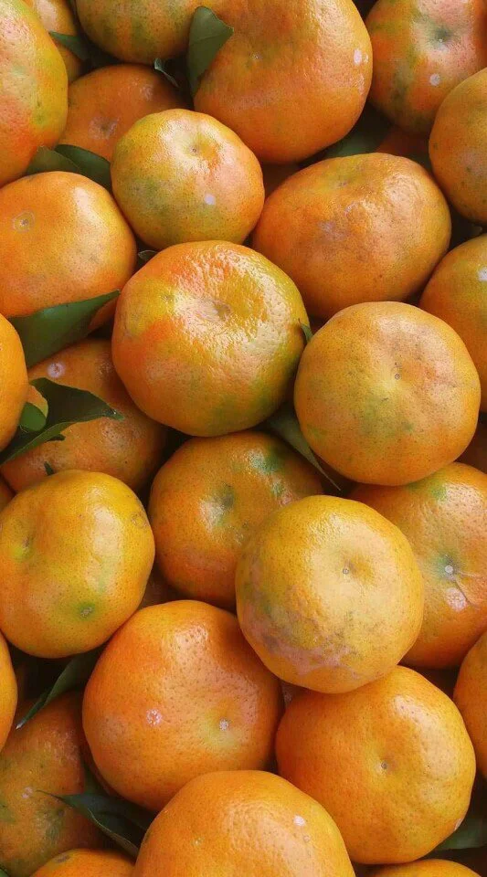 Photo of Nghĩa Đàn