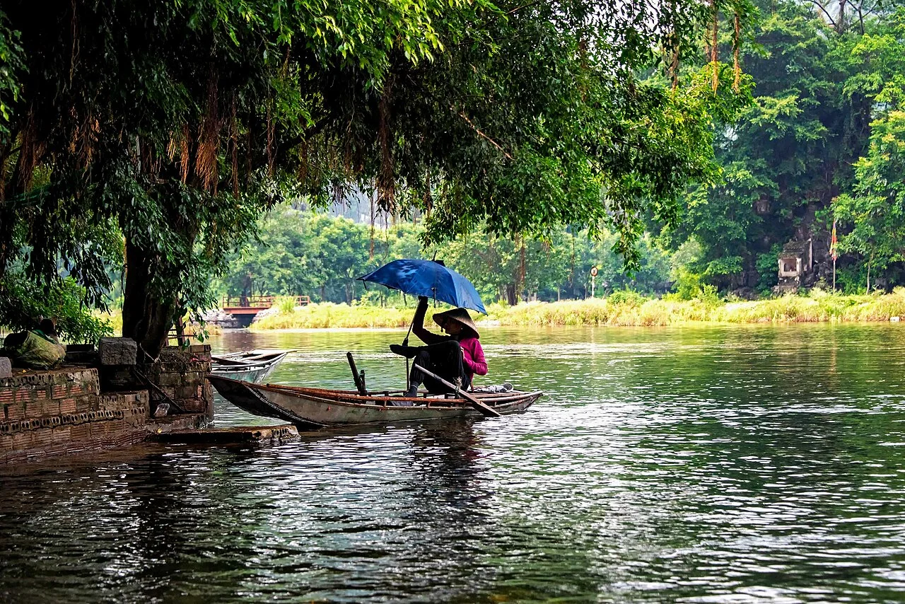Photo of Ngô Đồng