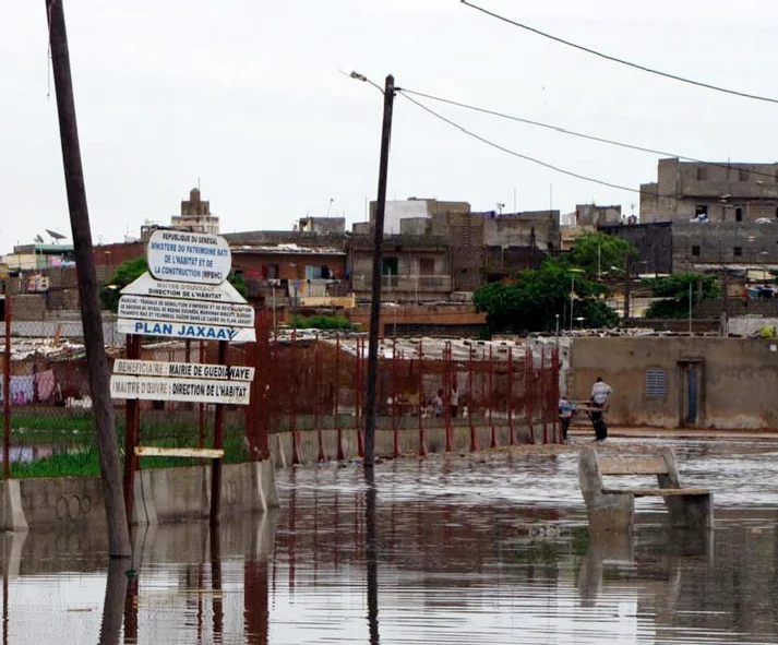 Photo of Niakoul Rab