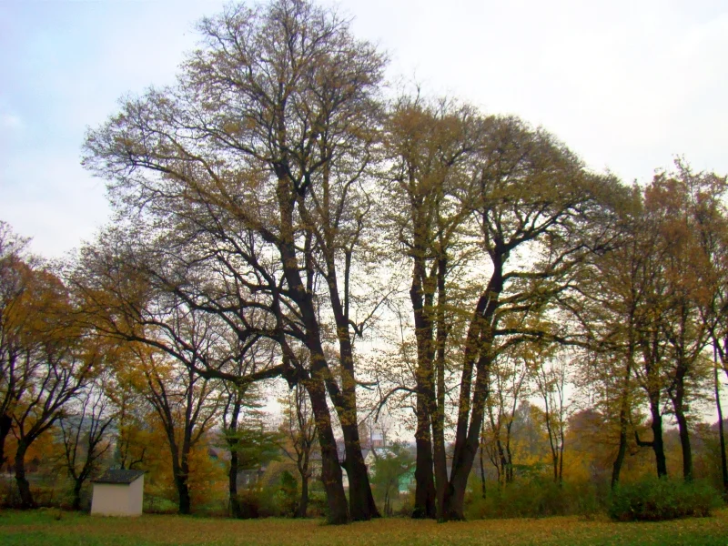 Photo of Niebieszczany