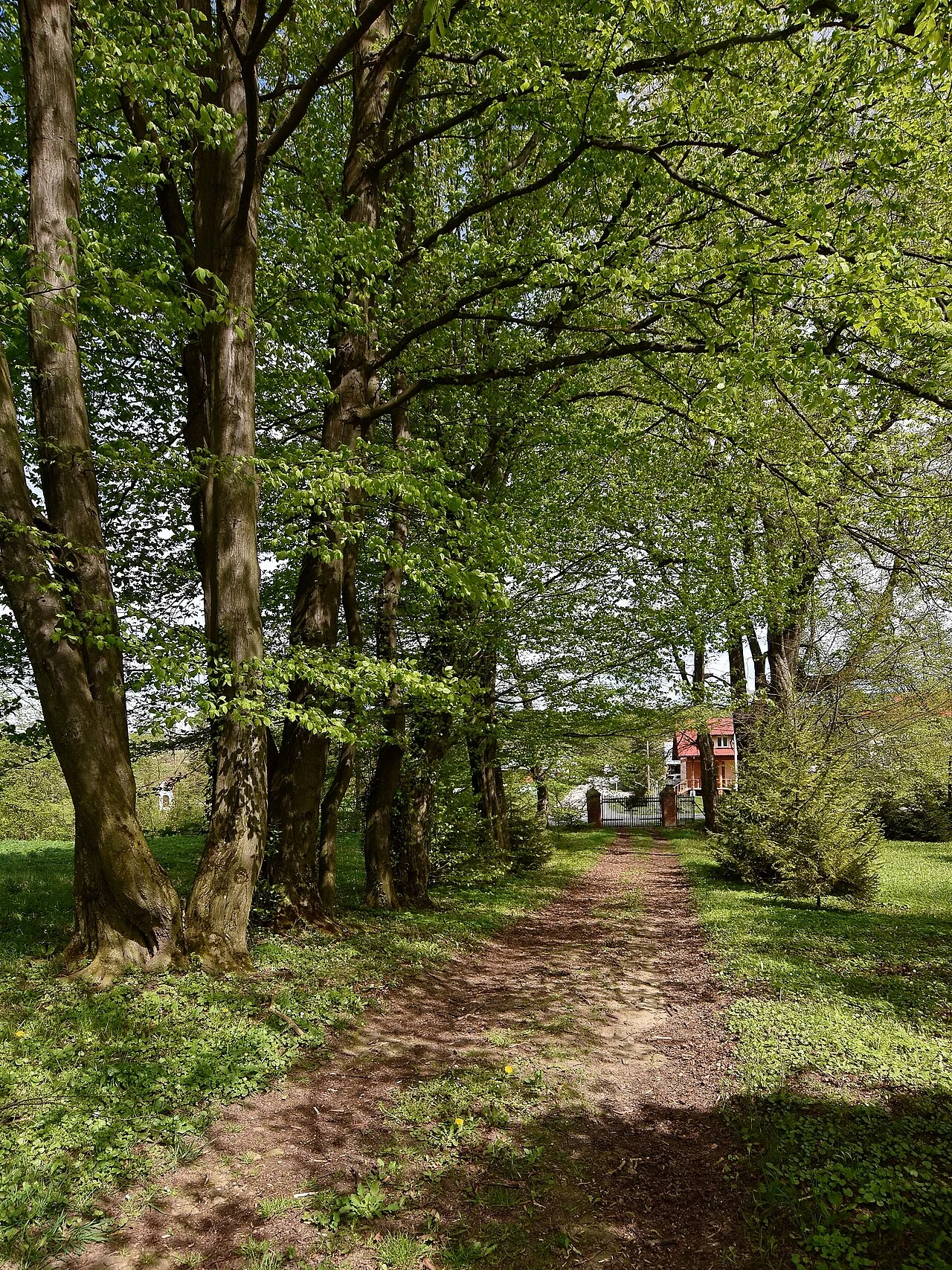 Photo of Niebieszczany