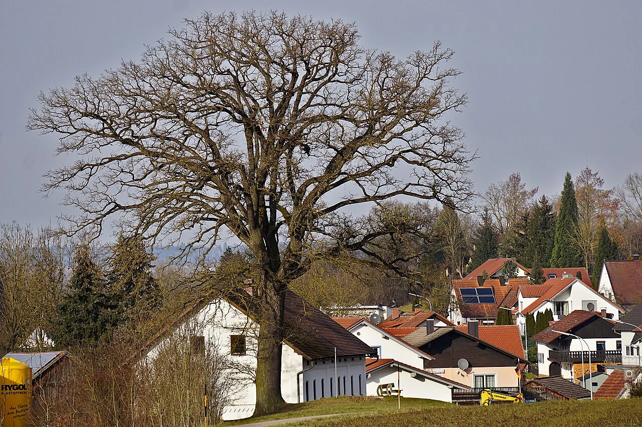 Photo of Niederaichbach