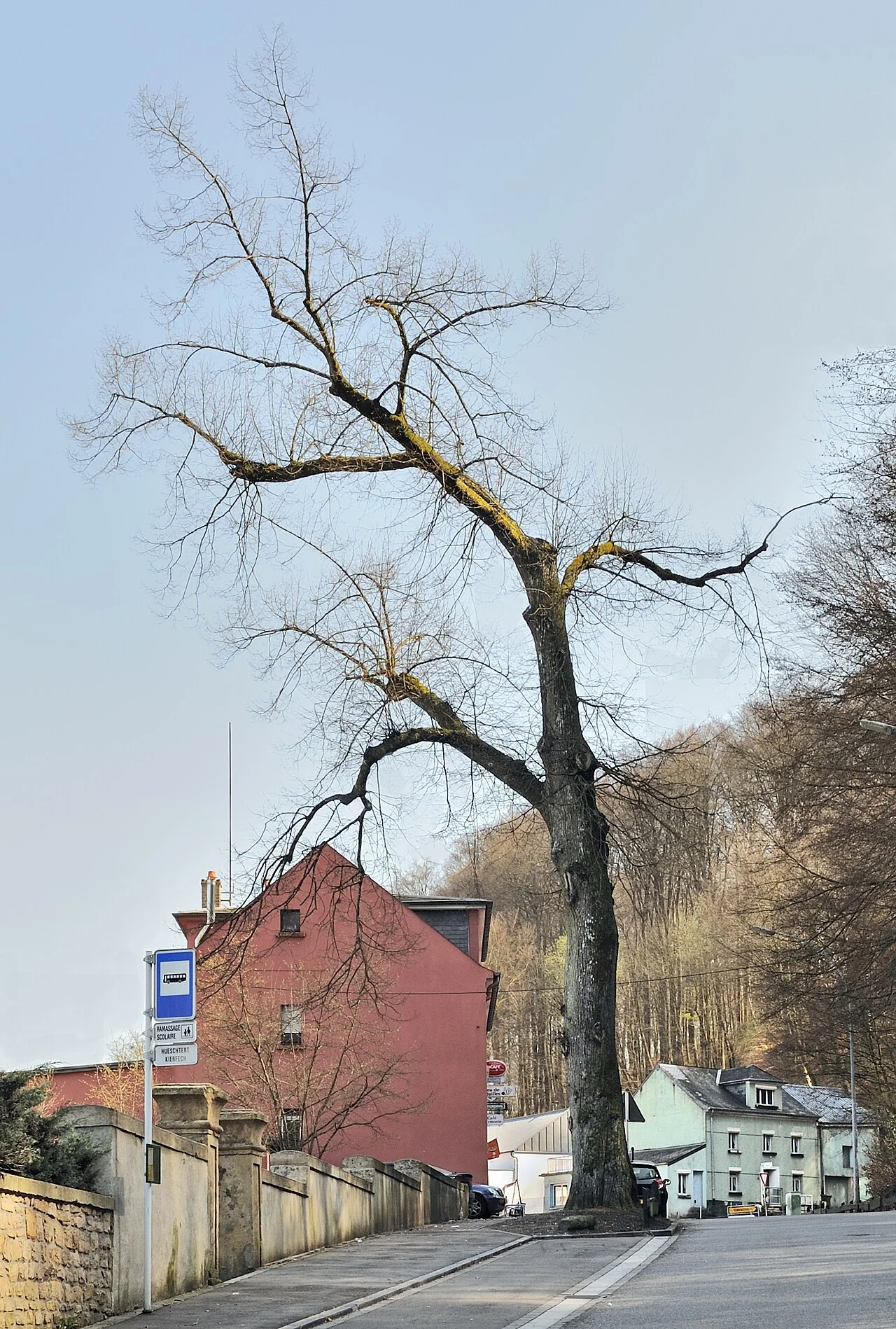 Photo of Niederanven