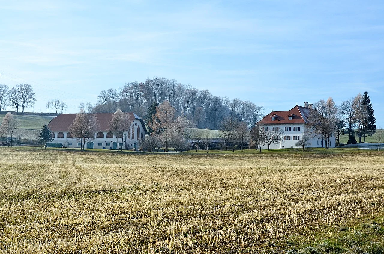 Photo of Niederdorf