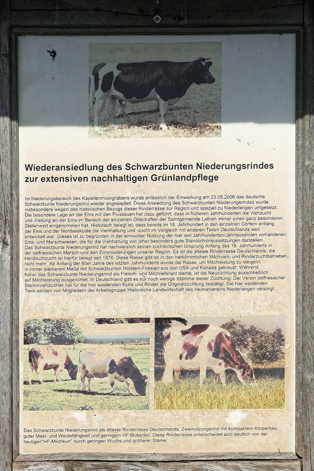 Photo of Niederlangen