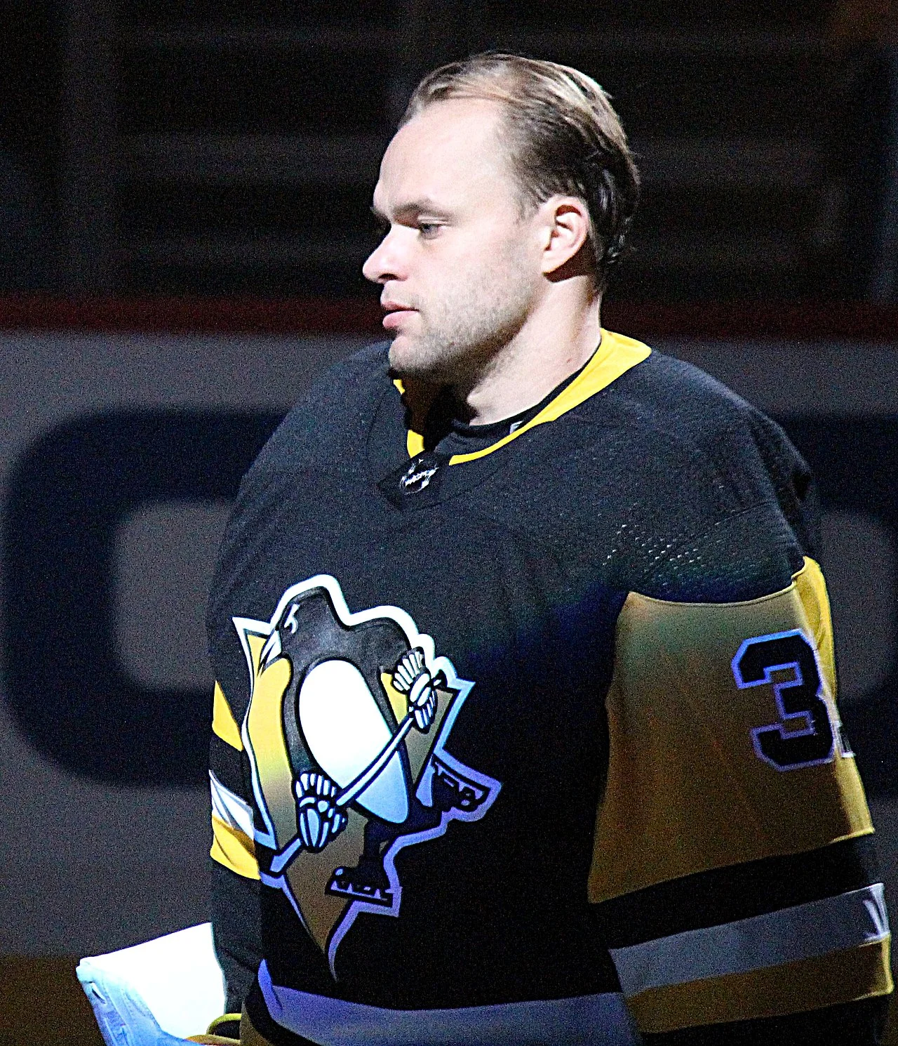Photo of Niemi