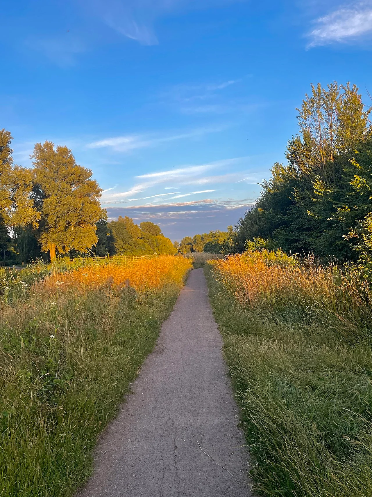 Photo of Nieuw-Vennep