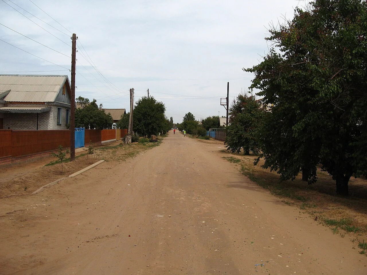 Photo of Nikolayevskaya