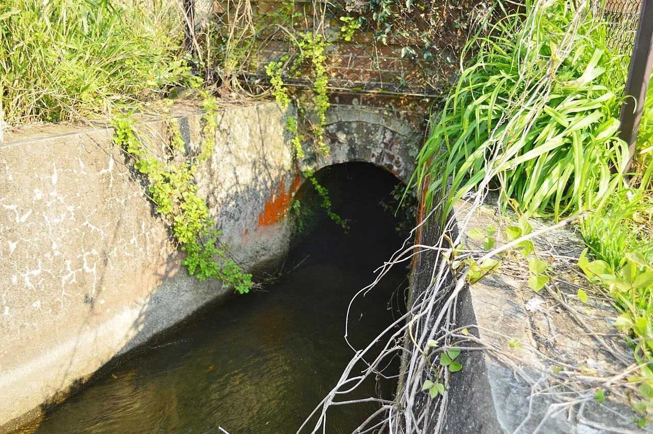 Photo of Nishitawara