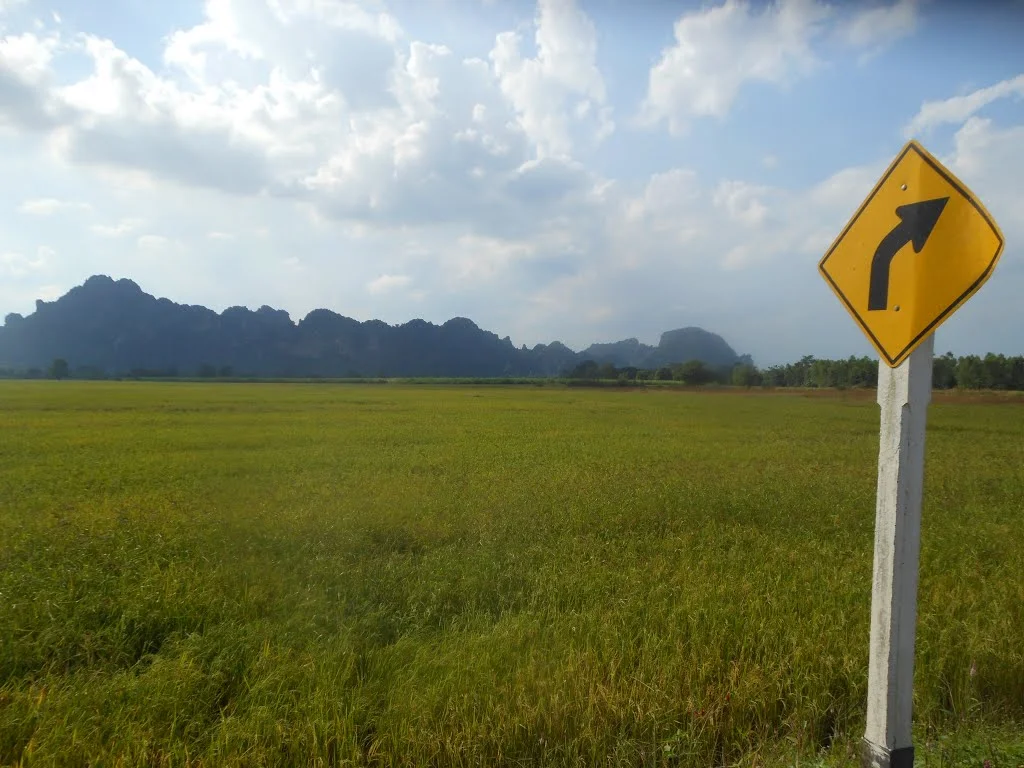 Photo of Noen Maprang