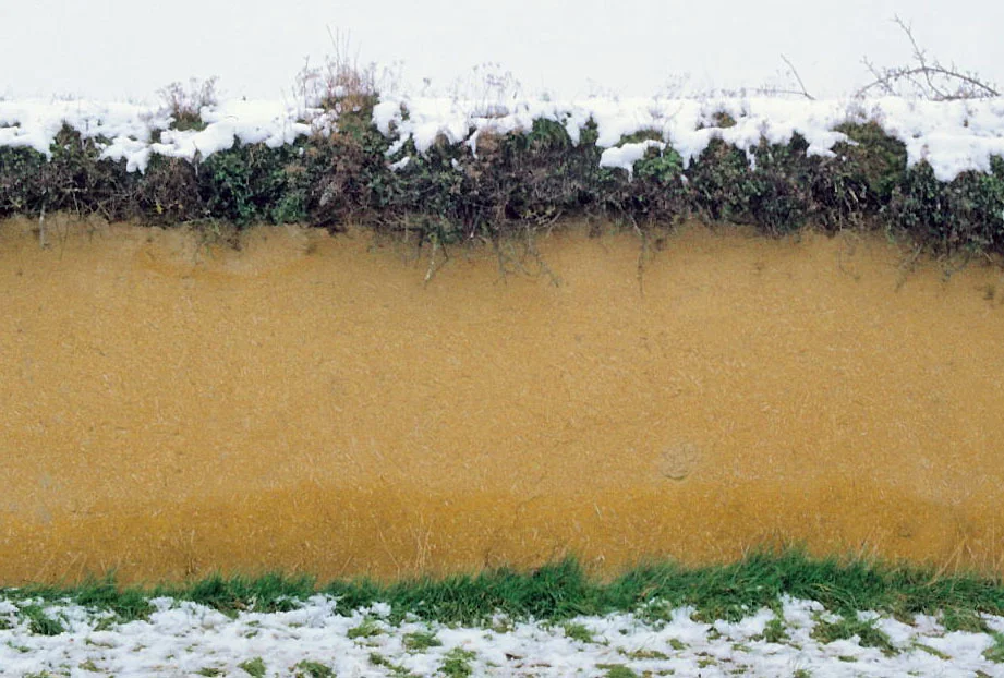 Photo of Nogal de las Huertas