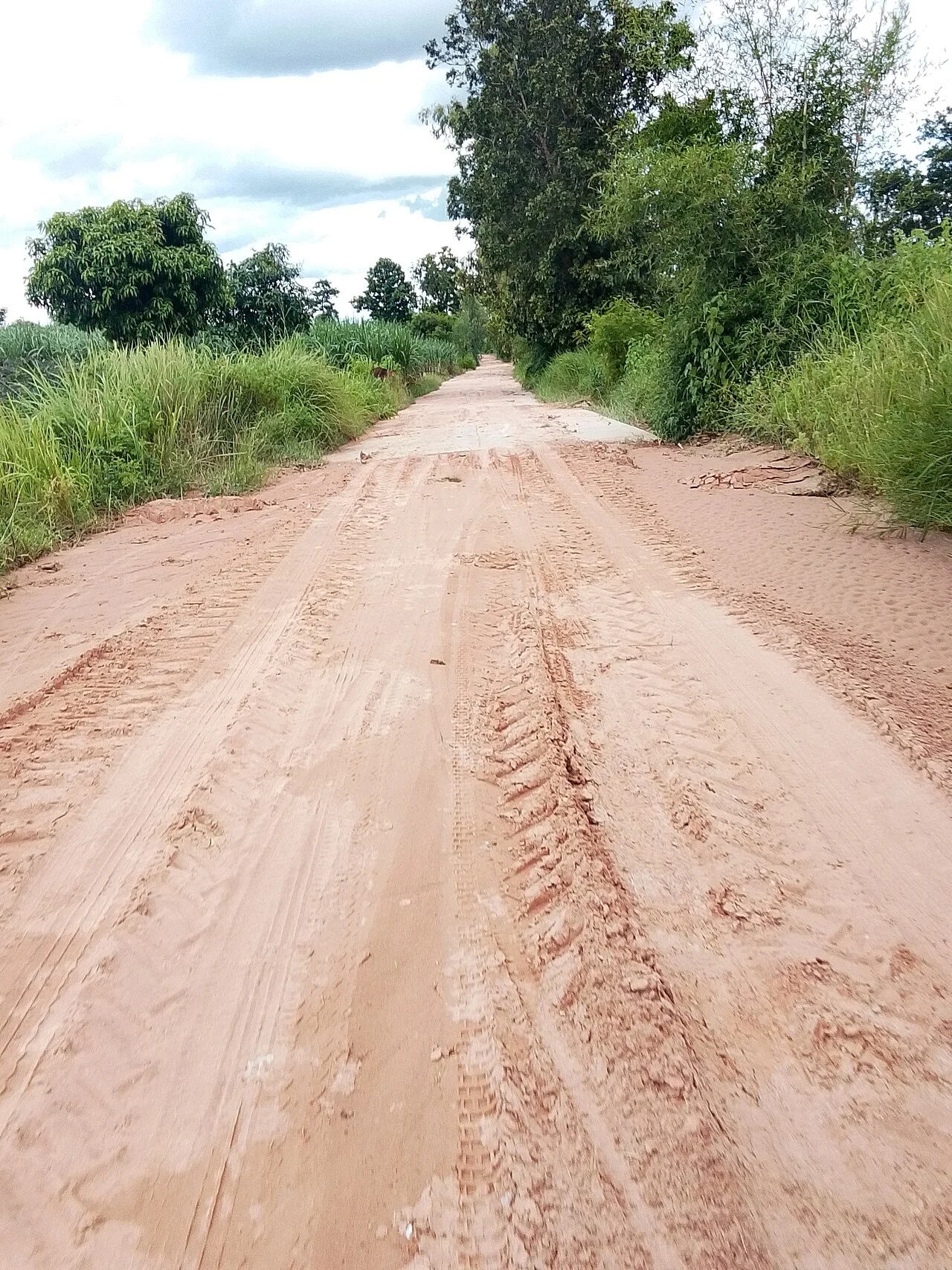 Photo of Nong Bua Daeng