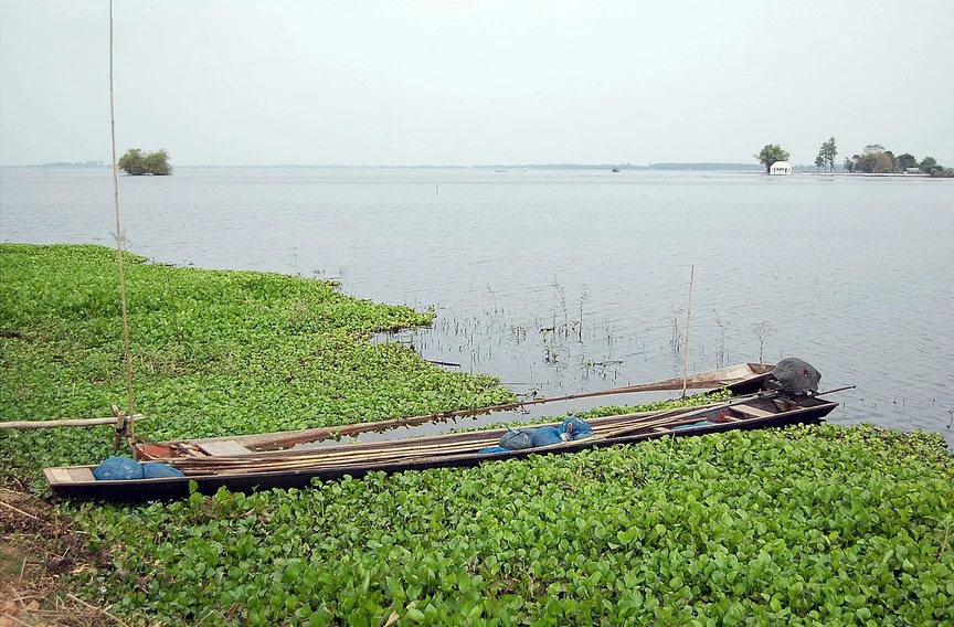 Photo of Nong Wua So