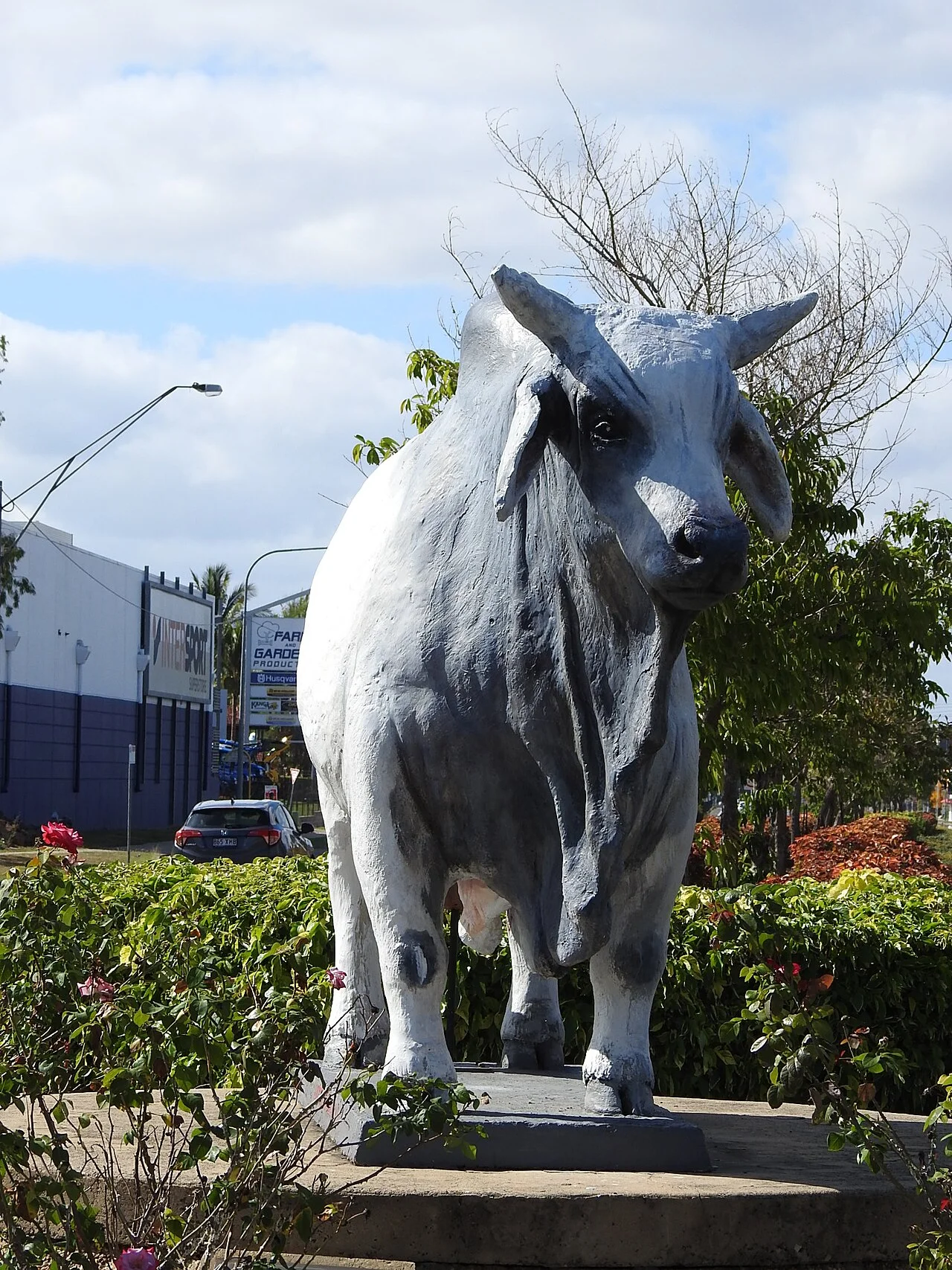 Photo of Norman Gardens