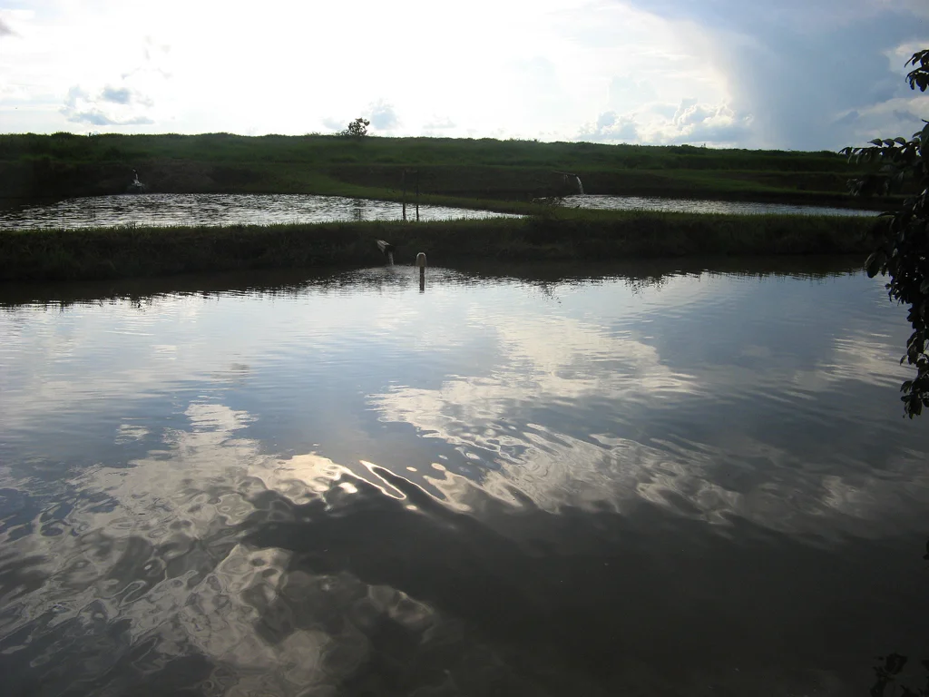 Photo of Nortelândia