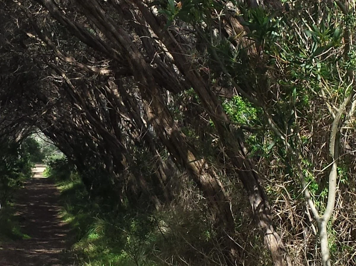 Photo of North Wonthaggi