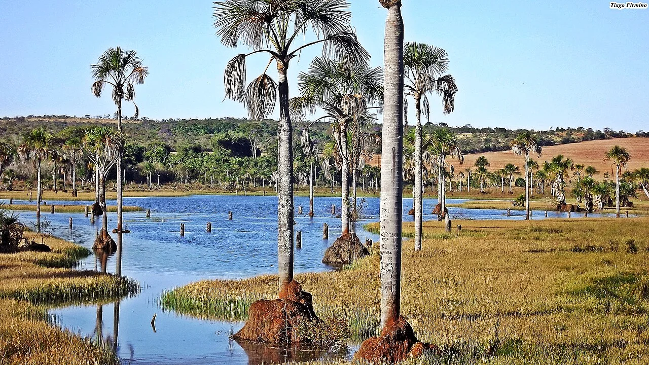 Photo of Nova Aurora