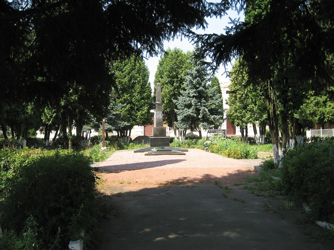 Photo of Nova Borova