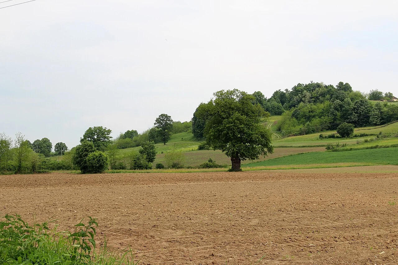 Photo of Nova Bukovica