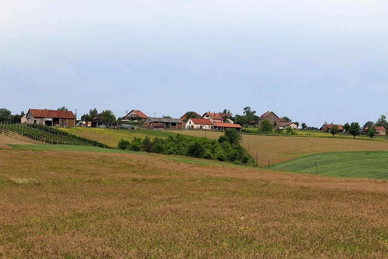 Photo of Nova Bukovica