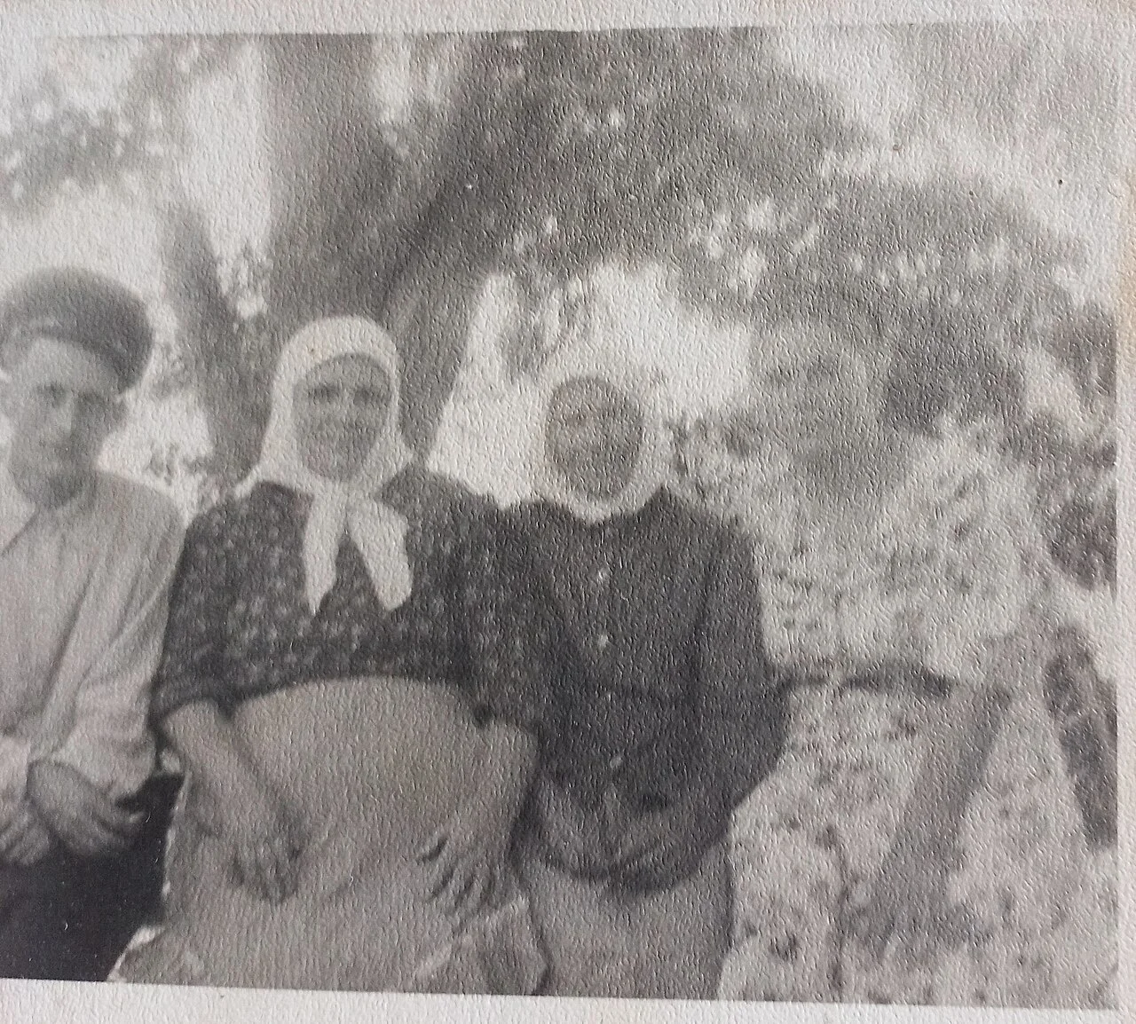 Photo of Nova Dmytrivka