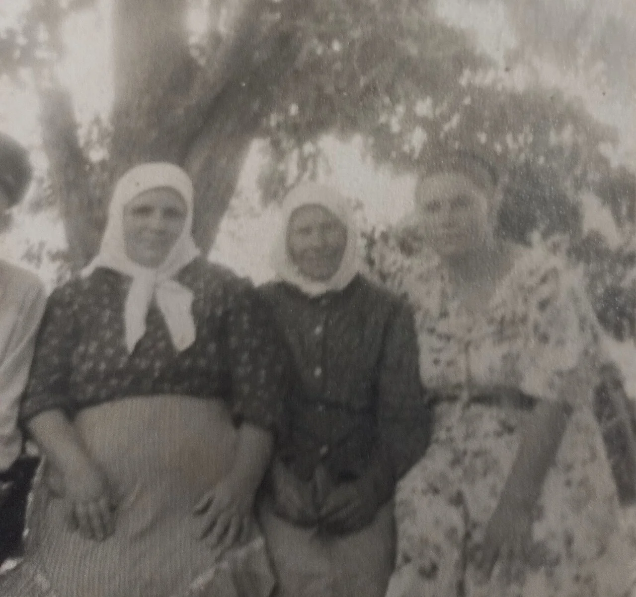 Photo of Nova Dmytrivka