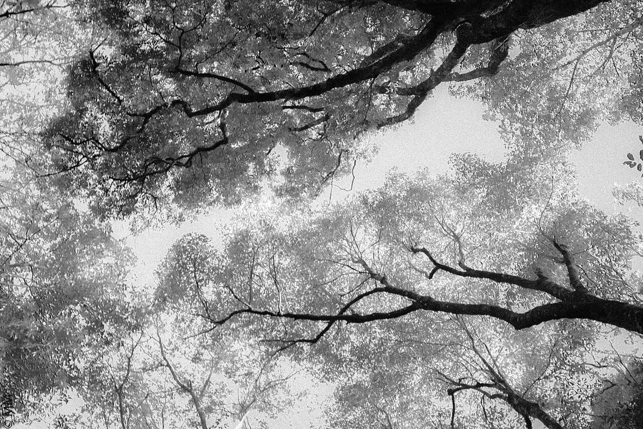 Photo of Nova Itaberaba