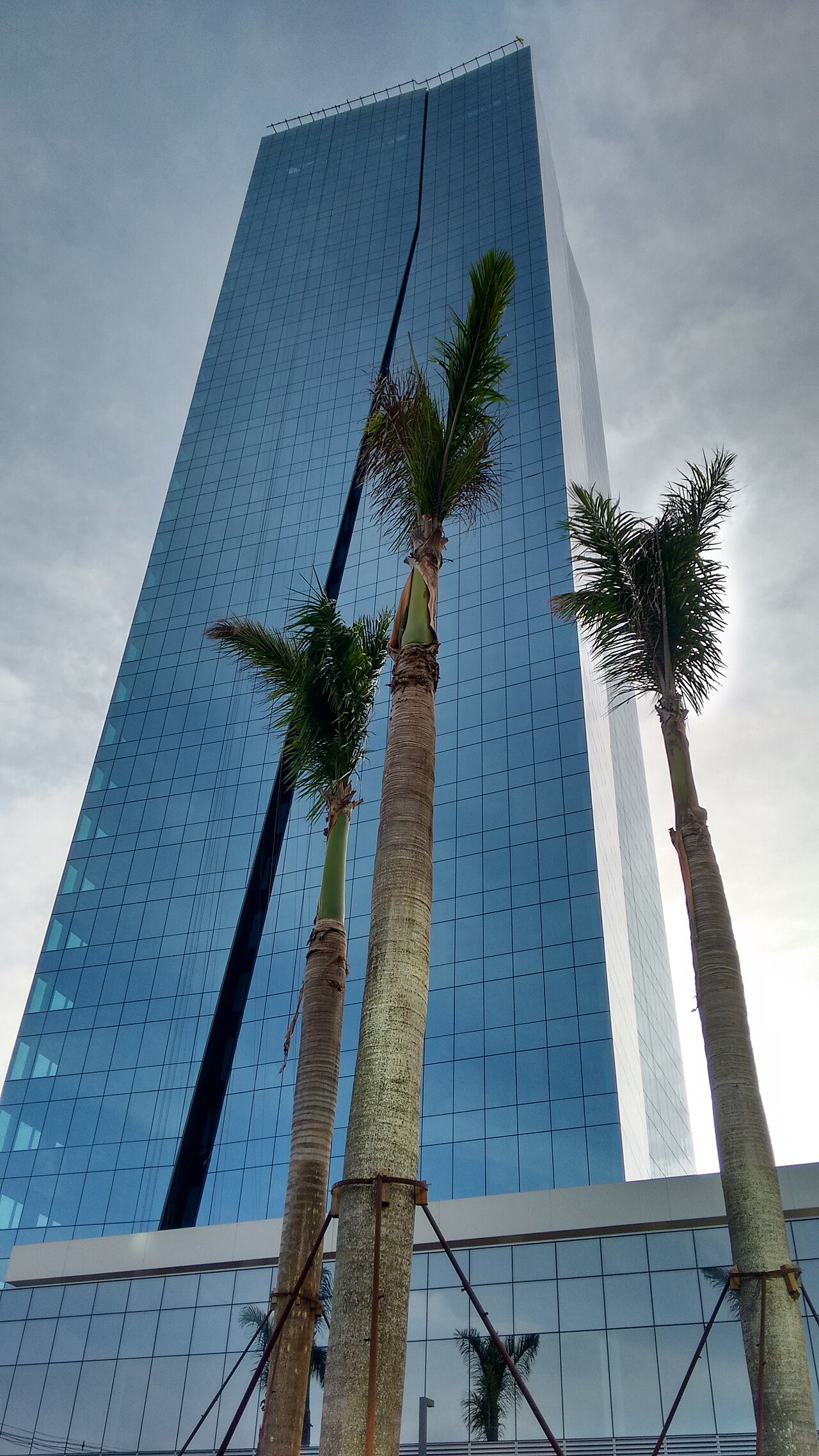 Opened in 2018, it is the tallest building in Minas Gerais and in the Southeast region of Brazil. It is the second tallest corporate building in Brazil and the biggest in steel structure.