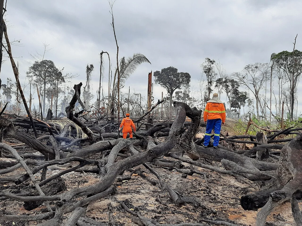 Photo of Nova Mamoré