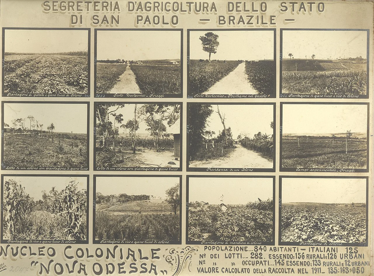 Photo of Nova Odessa