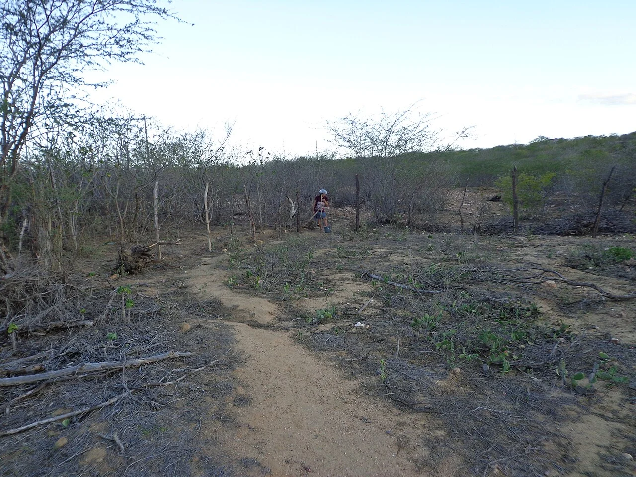 Photo of Nova Palmeira