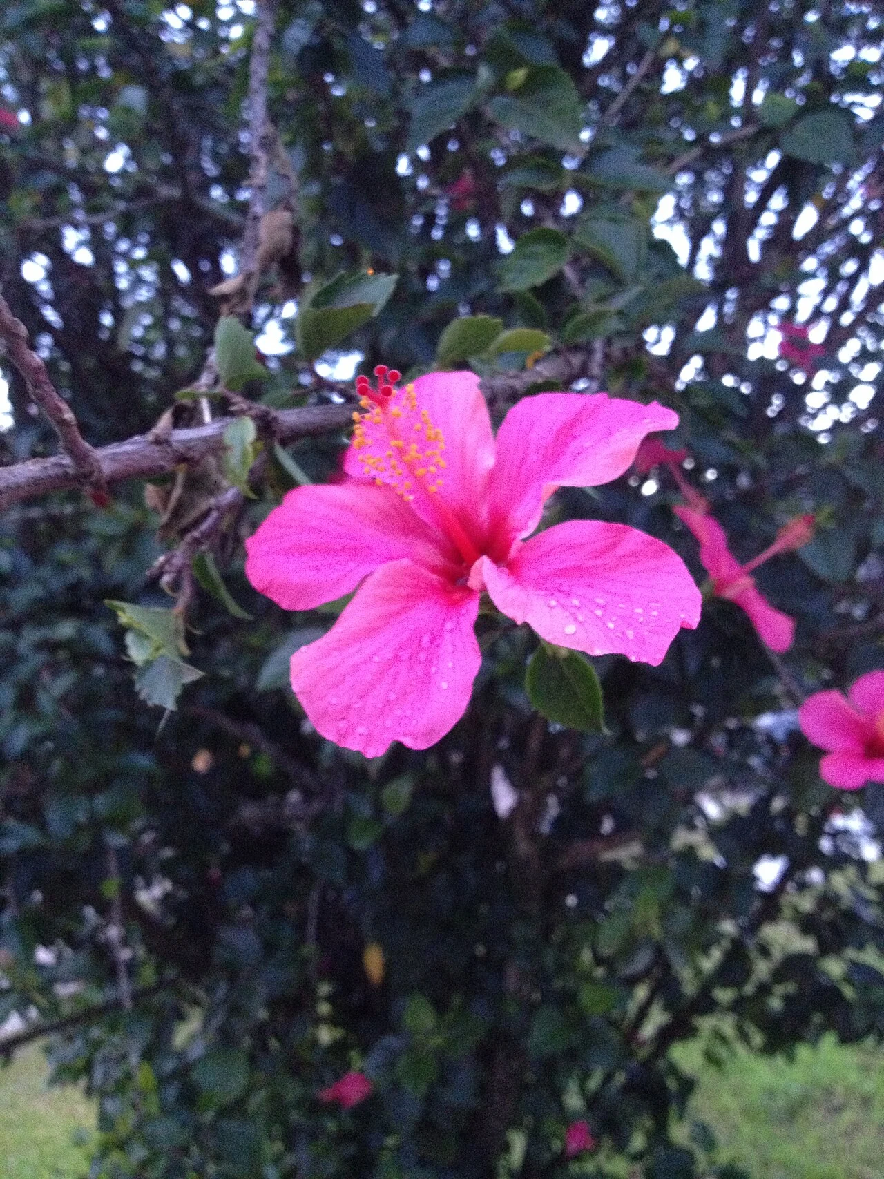 Photo of Nova Santa Rita