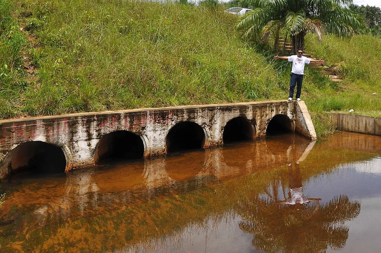 Photo of Nova Timboteua