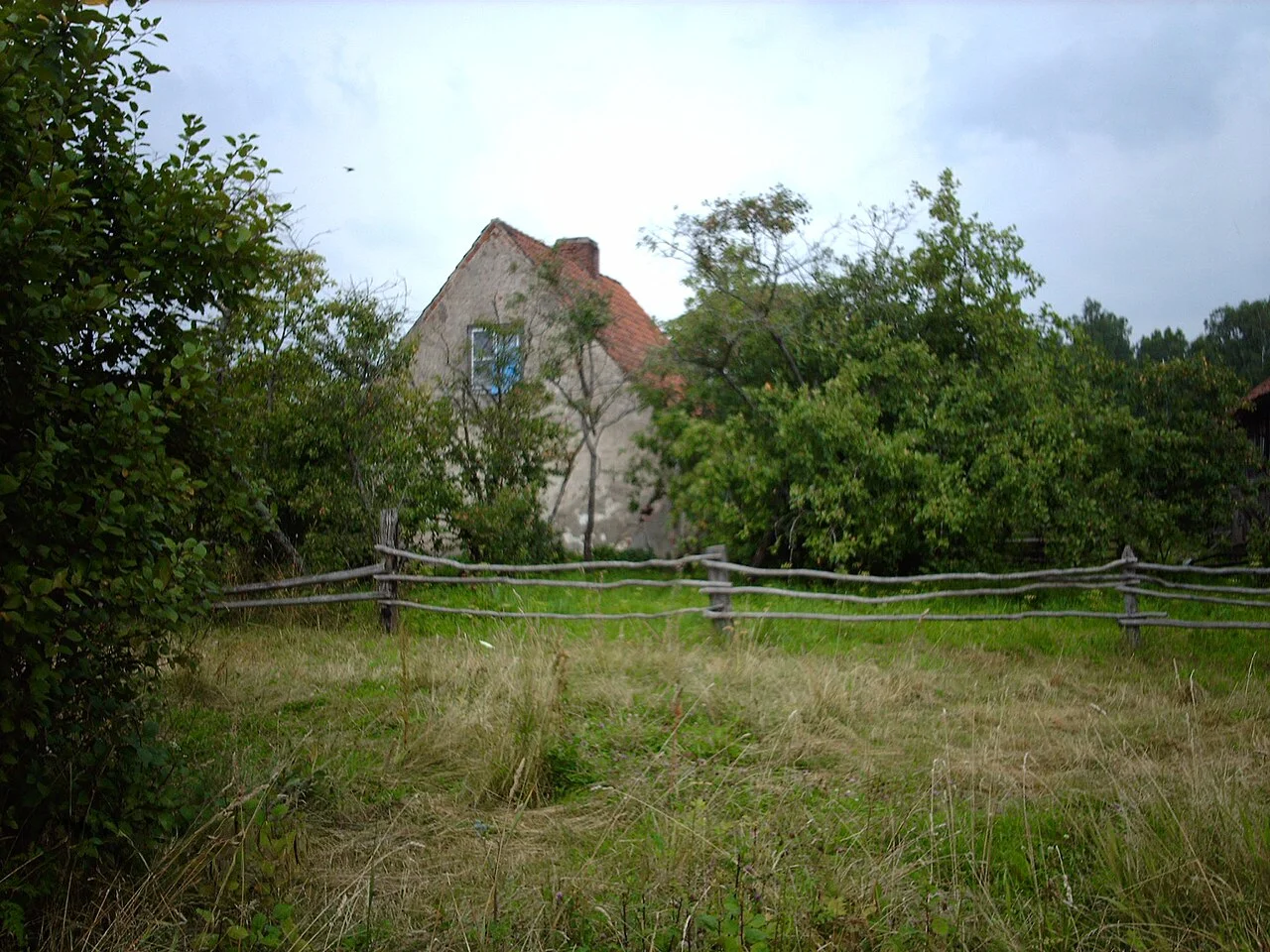 Photo of Novaya Derevnya