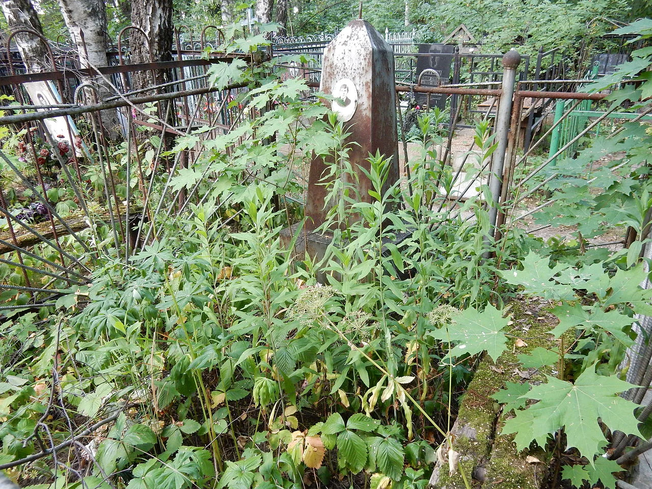 Photo of Novaya Derevnya