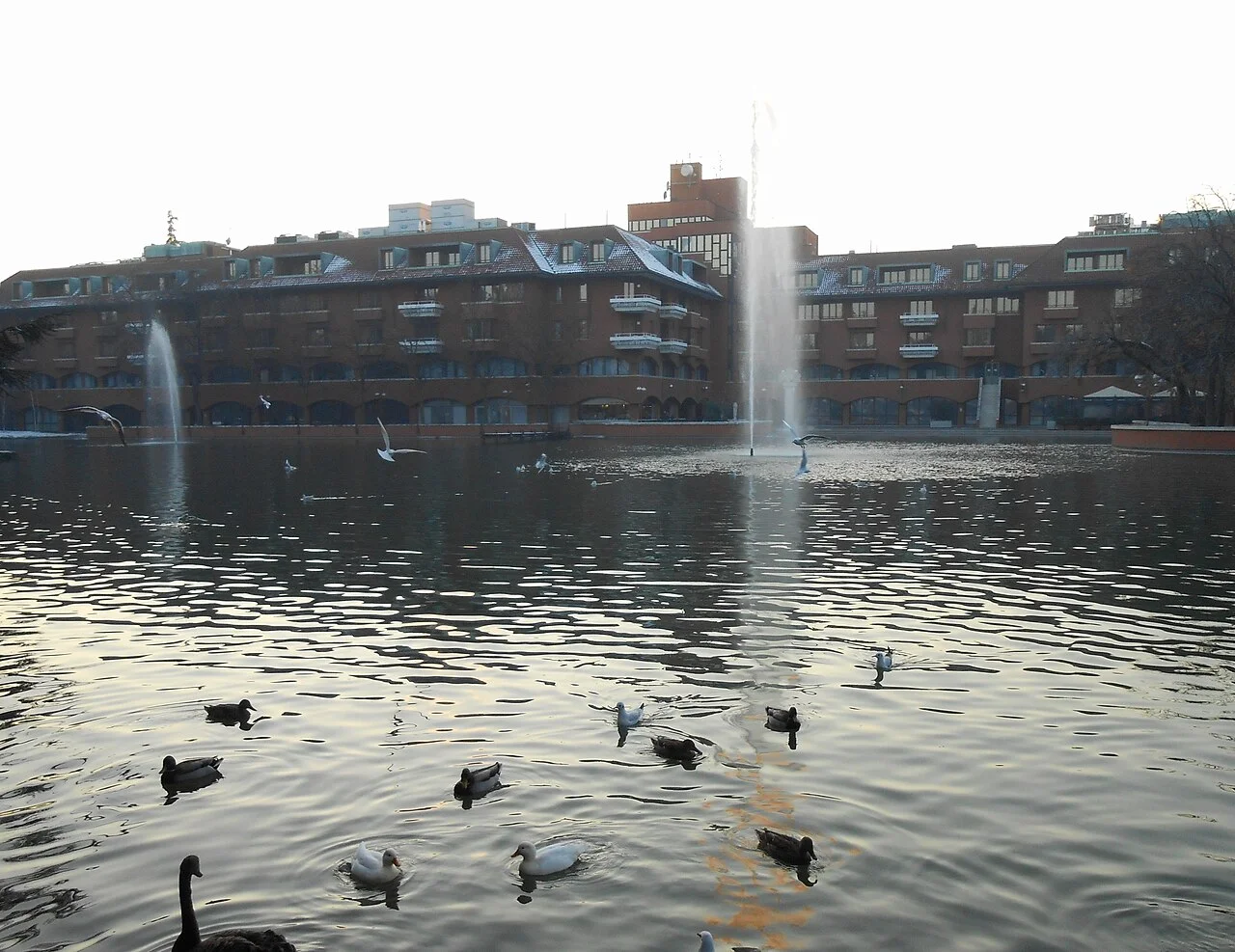 Photo of Novegro-Tregarezzo-San Felice