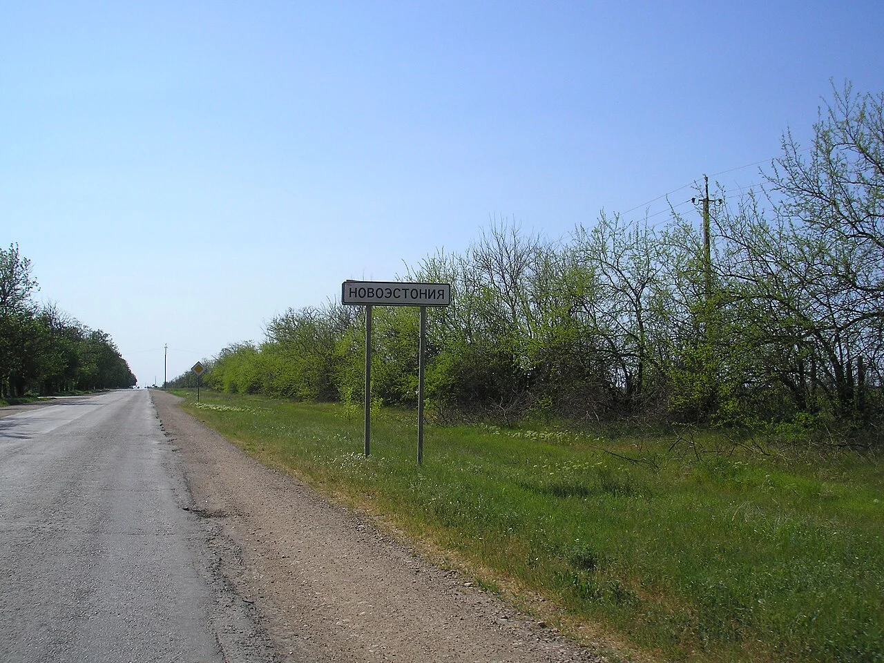 Photo of Novoestoniia