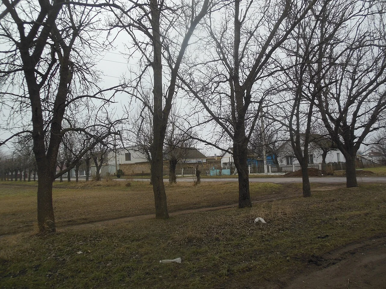 Photo of Novoestoniia