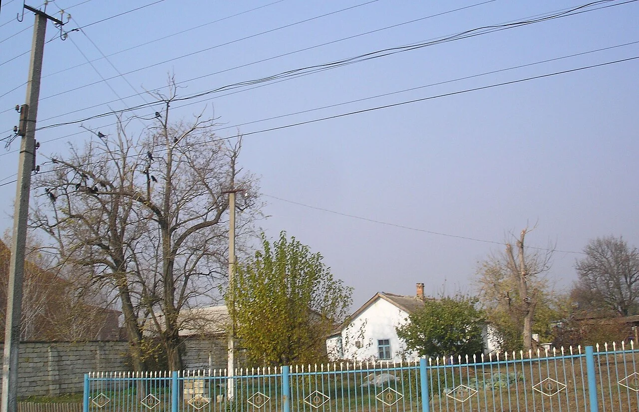 Photo of Novogrigoryevka